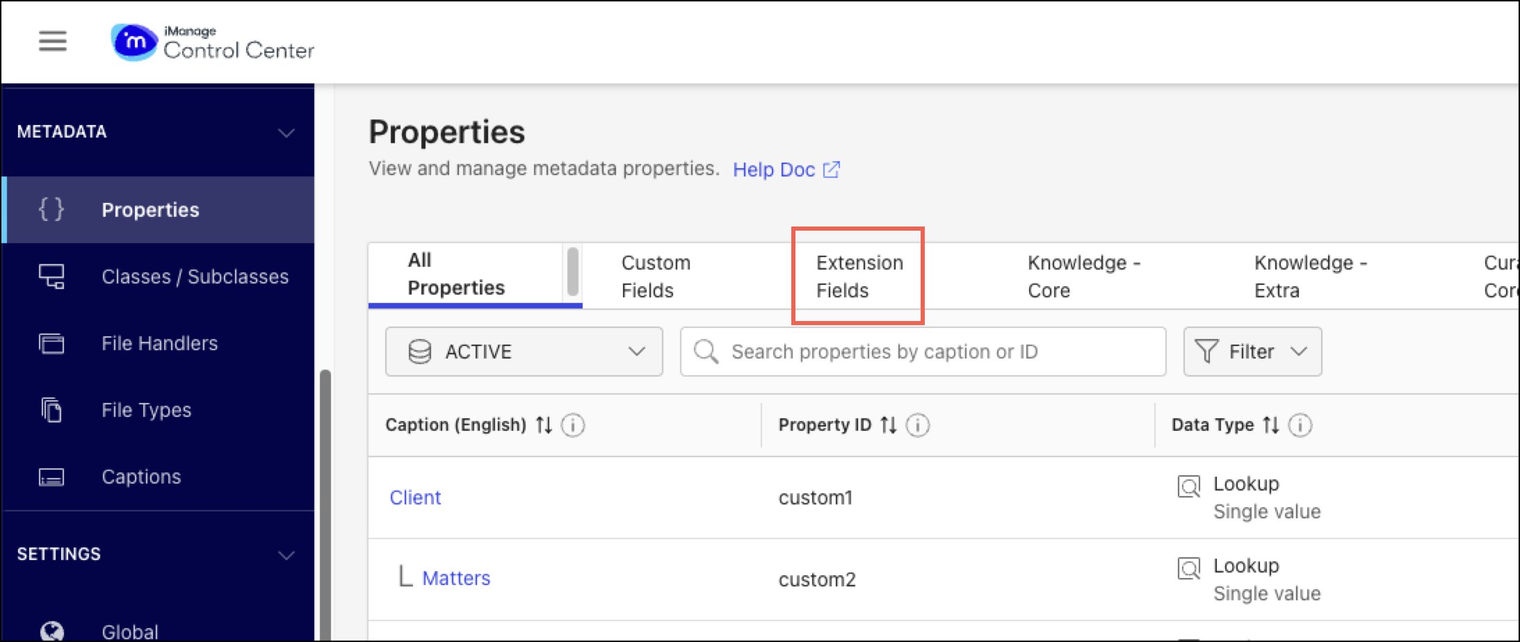 Metadata_Properties_Extension Fields tab